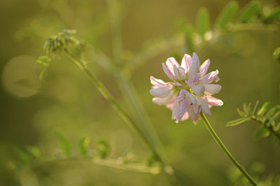 BUITEN BEELD Foto: 129808