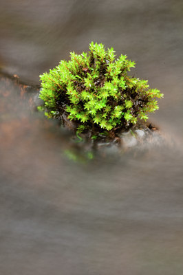 BUITEN BEELD Foto: 129833