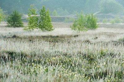 BUITEN BEELD Foto: 129847