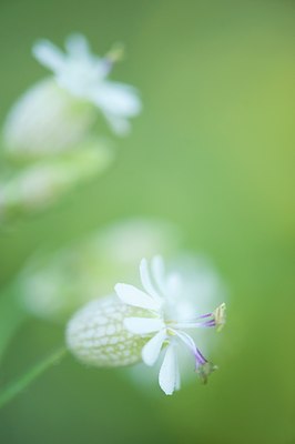 BUITEN BEELD Foto: 129860