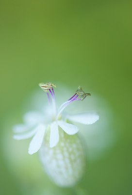 BUITEN BEELD Foto: 129862
