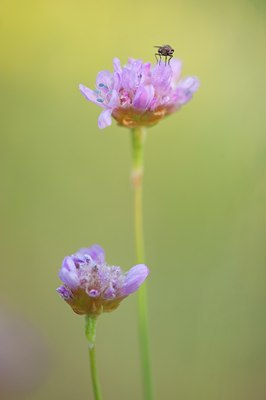 BUITEN BEELD Foto: 129867