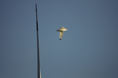 BUITEN BEELD Foto: 129920