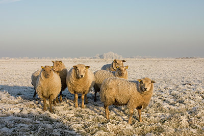 BUITEN BEELD Foto: 129937