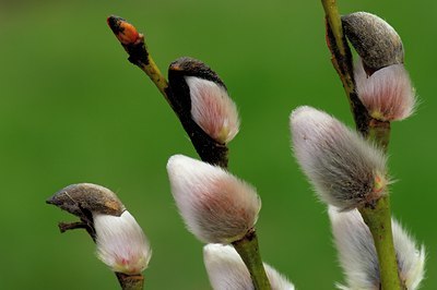 BUITEN BEELD Foto: 129949