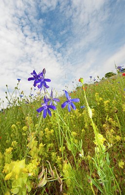BUITEN BEELD Foto: 130065