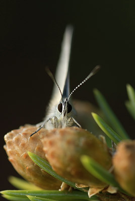 BUITEN BEELD Foto: 130110