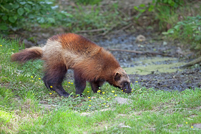 BUITEN BEELD Foto: 130139