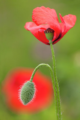 BUITEN BEELD Foto: 130145