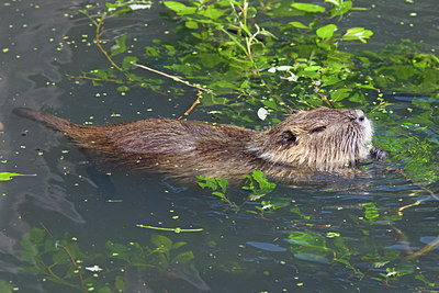 BUITEN BEELD Foto: 130158