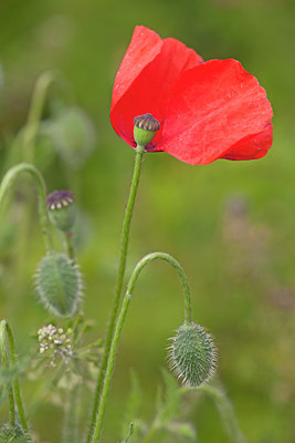 BUITEN BEELD Foto: 130161