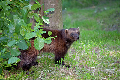 BUITEN BEELD Foto: 130170