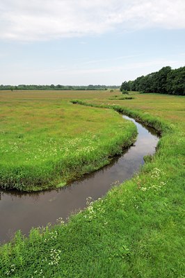 BUITEN BEELD Foto: 130199