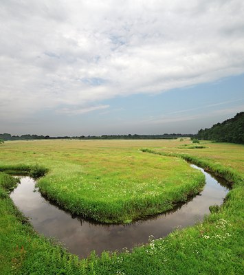 BUITEN BEELD Foto: 130202