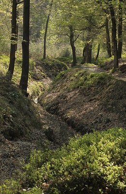 BUITEN BEELD Foto: 130279