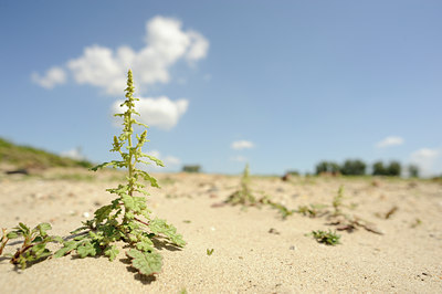 BUITEN BEELD Foto: 130301