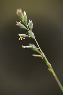 BUITEN BEELD Foto: 130306