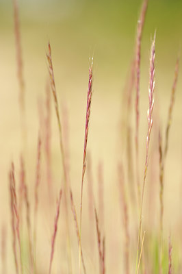 BUITEN BEELD Foto: 130314