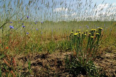 BUITEN BEELD Foto: 130338
