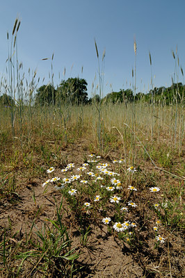 BUITEN BEELD Foto: 130347