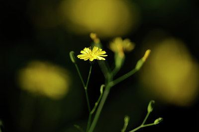 BUITEN BEELD Foto: 130357