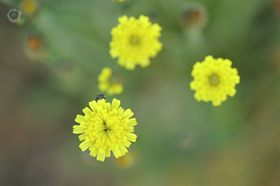 BUITEN BEELD Foto: 130360