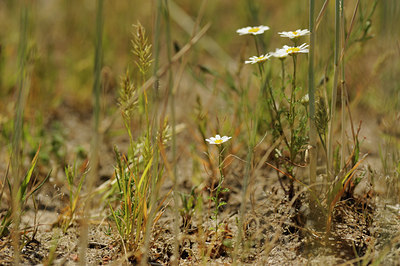 BUITEN BEELD Foto: 130372