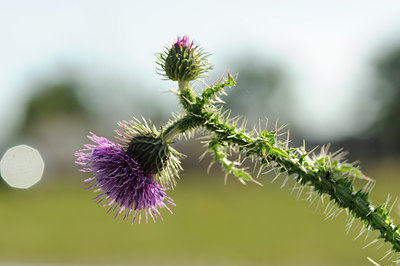 BUITEN BEELD Foto: 130393