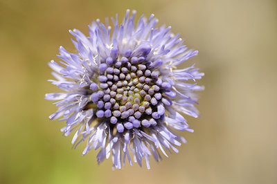 BUITEN BEELD Foto: 130395