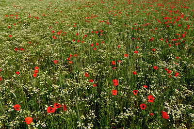 BUITEN BEELD Foto: 130452