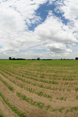 BUITEN BEELD Foto: 130456