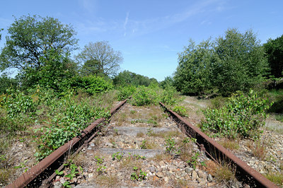 BUITEN BEELD Foto: 130464