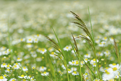BUITEN BEELD Foto: 130497