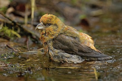 BUITEN BEELD Foto: 130522