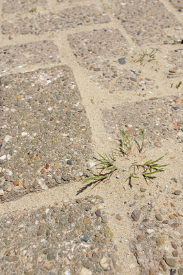 BUITEN BEELD Foto: 130544
