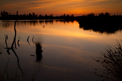 BUITEN BEELD Foto: 130558