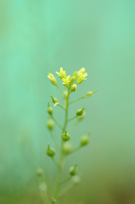 BUITEN BEELD Foto: 130685