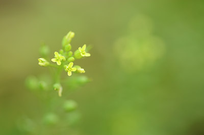 BUITEN BEELD Foto: 130687