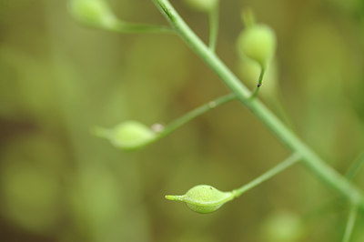 BUITEN BEELD Foto: 130690