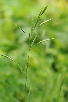 BUITEN BEELD Foto: 130694