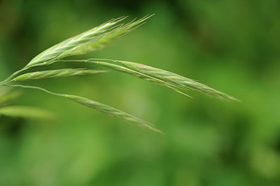BUITEN BEELD Foto: 130695