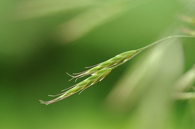 BUITEN BEELD Foto: 130703