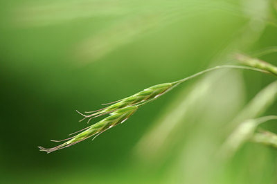 BUITEN BEELD Foto: 130706