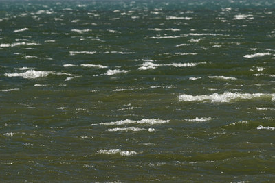 BUITEN BEELD Foto: 130723