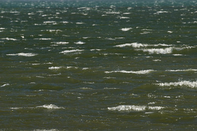 BUITEN BEELD Foto: 130734