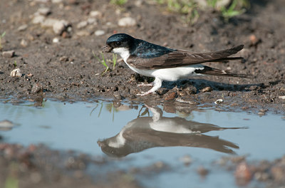 BUITEN BEELD Foto: 130764