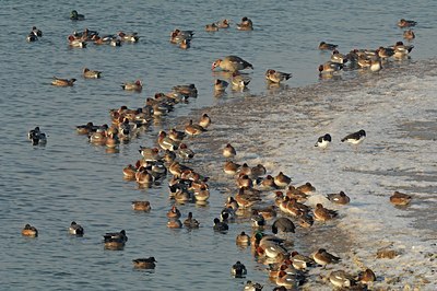 BUITEN BEELD Foto: 130790