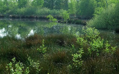 BUITEN BEELD Foto: 130801