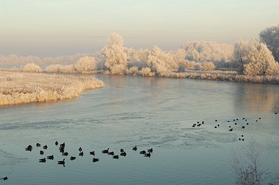 BUITEN BEELD Foto: 130816