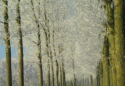 BUITEN BEELD Foto: 130819